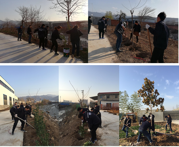 寶雞捷銳“迎春風，綠家園”植樹節(jié)(圖1)